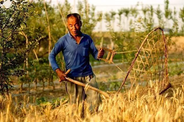 曾經農村收麥子用的9種工具,據說有諸葛亮發明的