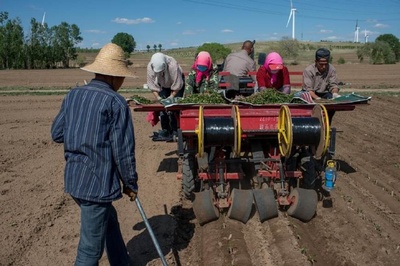 壩上草原春天的農耕場景,播種之前還有這么多工作要做
