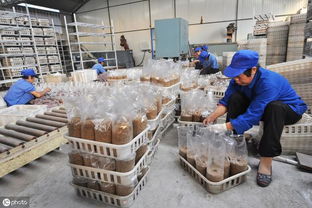 農(nóng)村大力整改違建房屋,但這兩種房子明明是違建的,為啥不拆