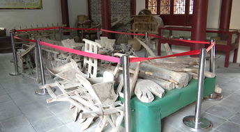 千件江淮老物件,體驗農(nóng)耕古文化