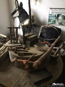 想看以前賣冰糕的箱子嗎,這個博物館有,沒門票