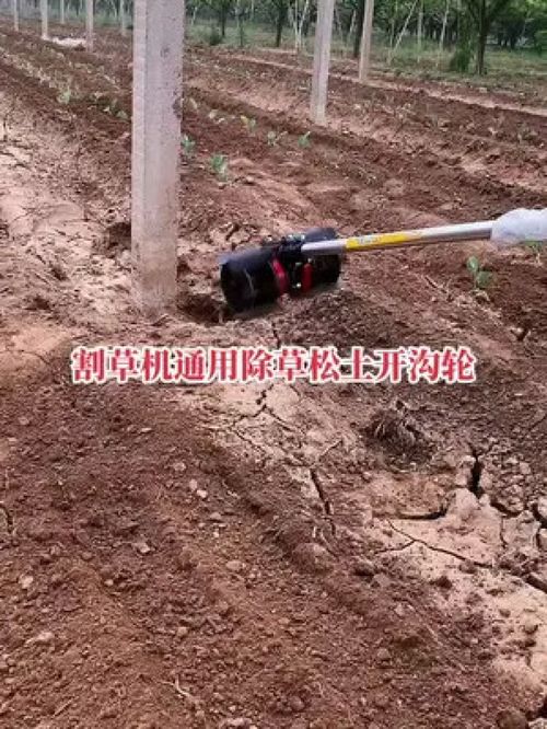 一機(jī)多用省時省力省人工 園林工具 三農(nóng)