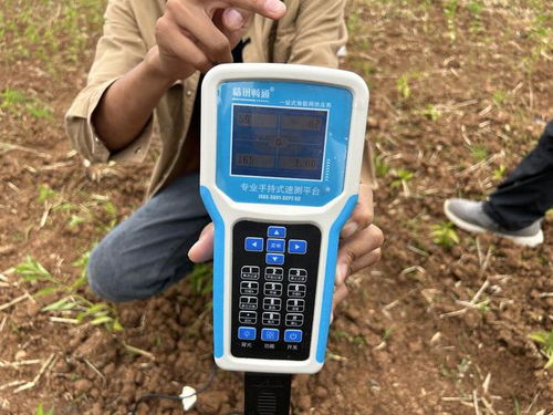 憑5g高調(diào)出圈,河南還有如此一面