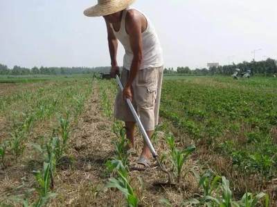 即將消失的農耕記憶 那些城里人看不到的古董農具