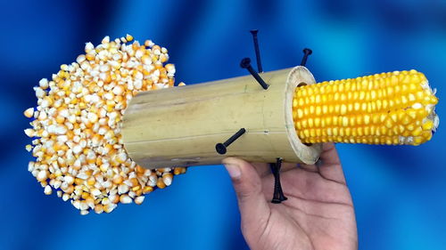 五元自制高效剝玉米神器，農村小哥創收新思路