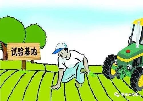 丹寨縣人大常委會幫扶洋浪村戰報 深耕本土，賦能兩大家與農工具振興