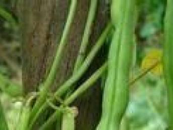 坪地農產品配送與食堂承包服務 提升深圳生活品質的專業保障